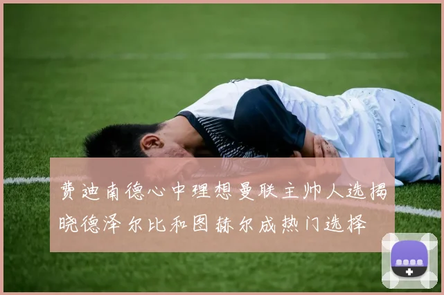 费迪南德心中理想曼联主帅人选揭晓德泽尔比和图赫尔成热门选择