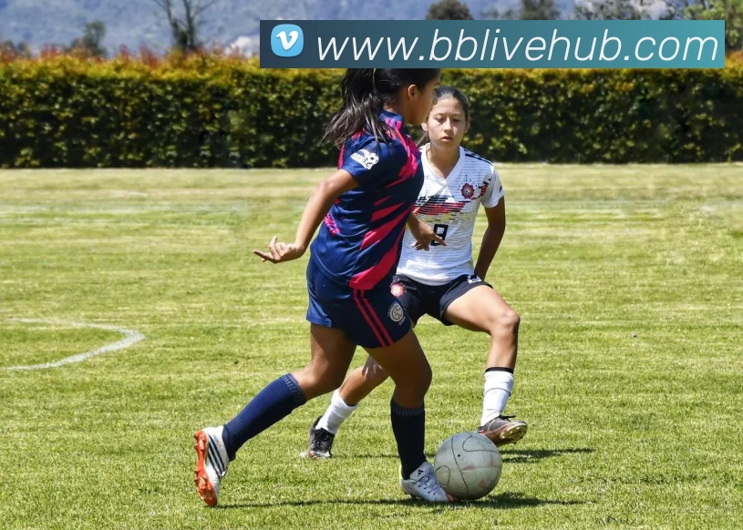 bbin宝盈发展历程